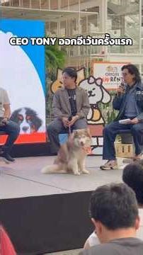 Ceo Tony ep.26 ออกอีเว้นครั้งแรก!