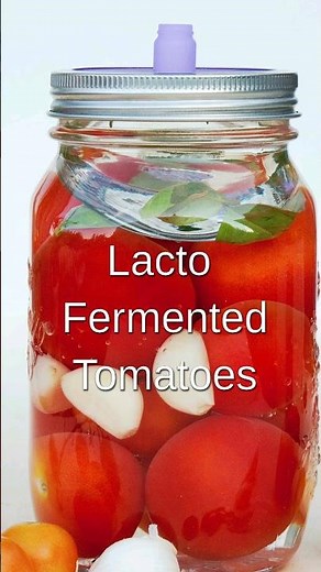 How to make Lacto Fermented Tomatoes #shorts
