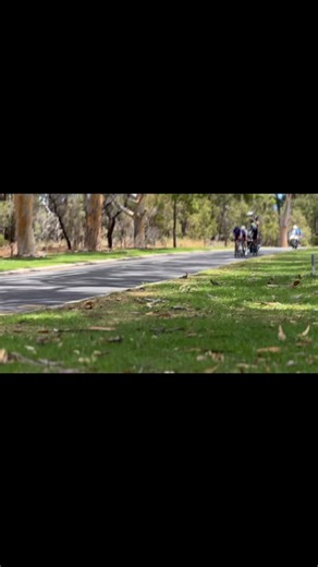 The elite women’s peloton rides through Kings Park during the Westbridge Funds Road National Championships, Perth, 11 January 2026. Mackenzie Coupland went on to win the Elite & U23 title, claiming the green-and-gold national championship jersey on the demanding inner-city circuit. #MilesTweediePhotography #boorloo #perth | Miles Tweedie Photography