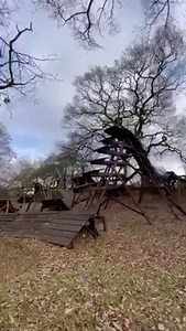 7.8M views · 137K reactions | First time riding the o-line on my new Whyte Bikes e-bike  • • • Hunt Bike Wheels Mountain ION bike Kali Protectives Mudhugger TF Tuned | UK Bike Skills | Facebook