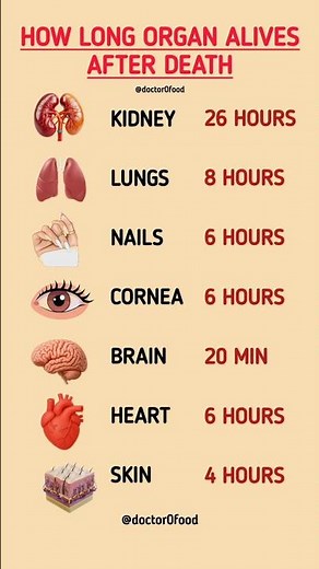 What Happens to Your Organs After Death? Timeline Explained #healthylifestyle #healthydiet