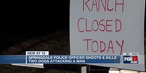 Officer shoots, kills 2 dogs attacking man at golf course, police say