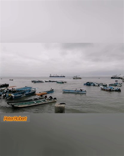 ❤️🇪🇨💪✨🙏🎵🎶🎧🐟🌞👍 Peter Robert | Peter Robert