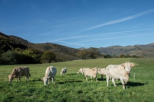 Méthanisation : définition et avantages