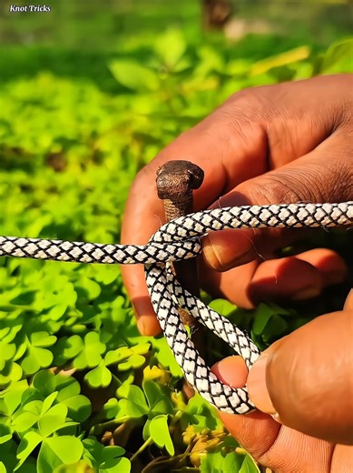 This is like a beautiful knot amidst the green nature. #shorts #lifehack #tiktok #usa
