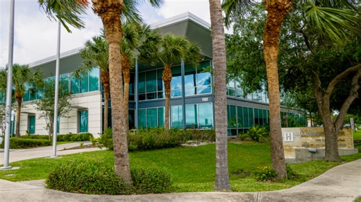 Olive Marketing Firm: Una forma de conectar con la comunidad