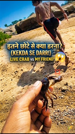 Darr ke aage Kekda hai! 😂 My Friend vs Live Crab 🦀 #minivlog