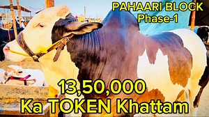 278K views · 8.3K reactions | MANDI 2025 Ke “2nd GENERAL BLOCK” Me...