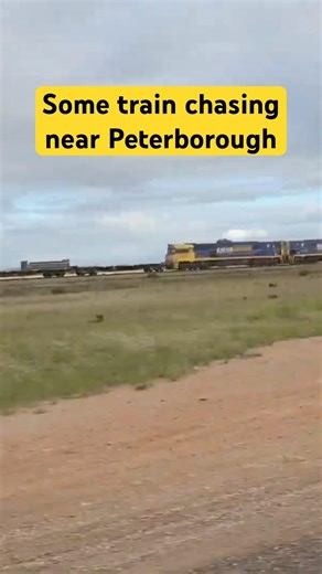 Whyalla freight chase at Peterborough (apprentice cam)🚆 #freighttrain #nrclass