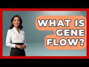 What Is Gene Flow? - Biology For Everyone