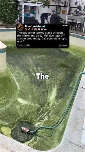 A Mysterious Warning from the Bus Driver