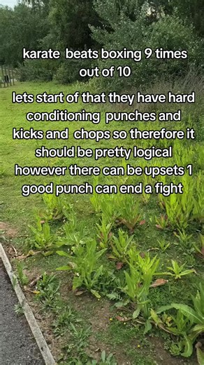 discipline dojo on TikTok