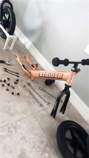 Project Strider getting prepped for Restoration