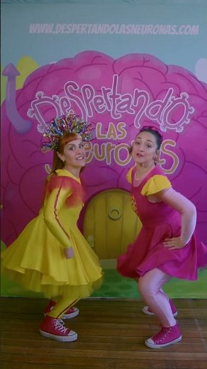 ¿Cuáles son las partes de las neuronas?