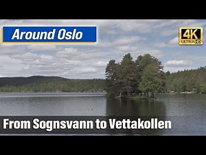 Walk from Sognsvann to Vettakollen (Oslo Daytrip)