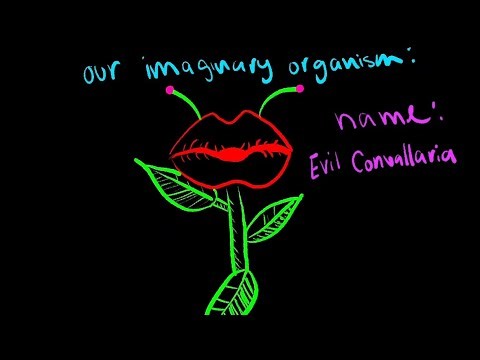 Ap bio final : Evil convallaria (peyton, jaycee,regina)