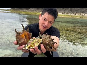 Japanese Fishermen Explore the Rocky Shores of Okinoerabu Island!