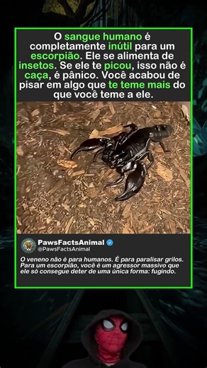 ELE NÃO PRECISA DE VOCÊ