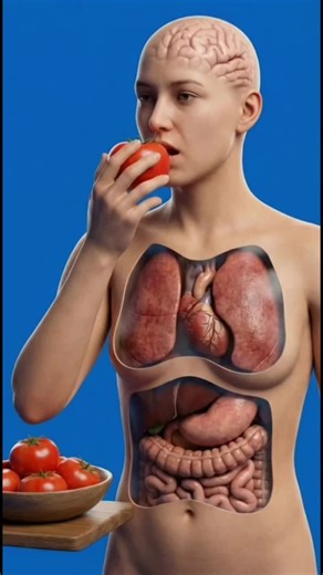 Science craft (@sciencecraft96)’s videos with original sound - Science craft