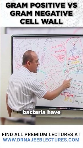 Gram Positive vs Gram Negative Cell Wall #drnajeeb #drnajeeblectures #bacterialcellwall