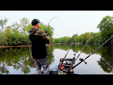 TIPS for catching SPRING flathead catfish (river fishing)