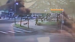 “Gostaria de fazer uma denúncia ocorrida no sábado dia 23/08, no Park Meraki, por volta das 22h. Um pitbull sem focinheira, que teve força para estourar a coleira que o segurava, fugiu do dono e foi atacar meu pai e meu cachorro que estavam andando por lá. A sorte foi a atenção do meu pai ao perceber que o pitbull havia fugido e conseguiu pegar meu cachorro no colo (um shitzu). Vemos diversos casos como esse todo dia na televisão e mesmo assim os tutores de cachorros como esse (pitbull) ainda nã