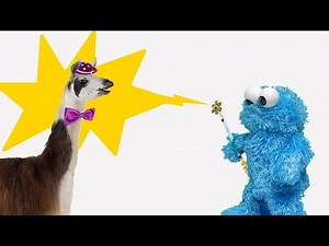 Το μαγικό ραβδί του Κούκη | Άμπρα κατάμπρα