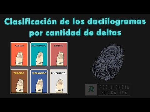 Clasificación de los dactilogramas por cantidad de deltas