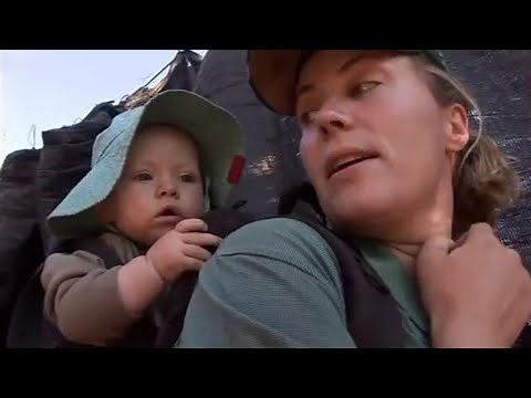 Vet Safari Family: Rounding Up Zebras | Vet Safari | BBC Earth
