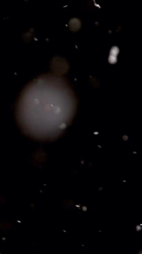 章公圣君的传奇故事与道教修行