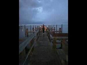 Dragonfly - Dana and Alden [saxophone part 1hr]