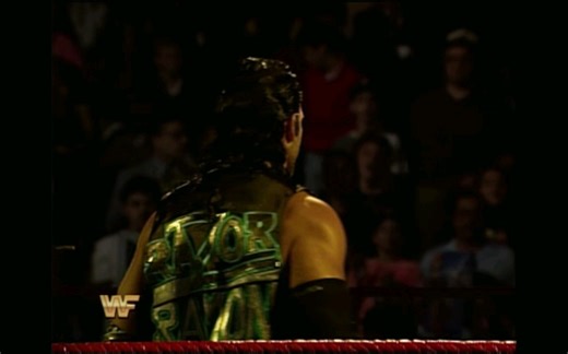 WWE SUMMERSLAM 1994 夏日冲击 1994