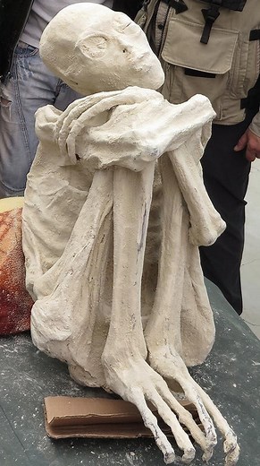 Evidence so far: Alien bodies(examined by top American scientist like y’all wanted), Spacecraft material(examined by American scientist like y’all wanted), whistleblowers, leaked emails, leaked pictures, leaked videos, official videos, And we told you where the spaceships are located. So when someone says we don’t have evidence, just know they’re full of it. 🛸🛸🛸 @theufogod ⁣ .⁣ .⁣ .⁣ .⁣ .⁣ #alien #alienabduction #aliens #aliensarereal #aliensky #aliens👽 #annunnaki #area51 #curiosidades #extr