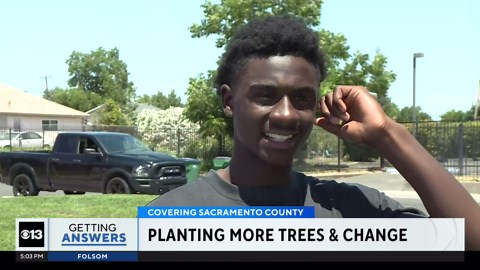 Sacramento wants to double its tree canopy over next two decades