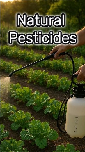Natural Pesticides for Plants
