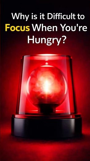Why is it Difficult to Focus When You’re Hungry? | Diary of a Neuroscientist – Dr Nirvana S. Pillay