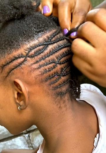 Braids Hairstyle Ideas for Natural Hair | Hair Care Routine