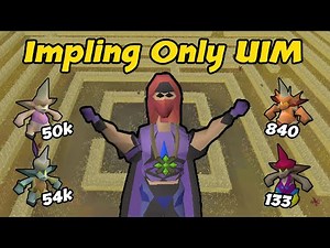 90 Hunter Catching ONLY Implings - Impling Only UIM (#29)