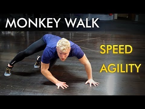Monkey Movement for Speed and Agility