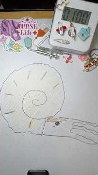 1 Minute Drawing! 🐚 Is it a Shell? No, it's a Cute Ammonite! 🌊✨ #ASMR #Shorts