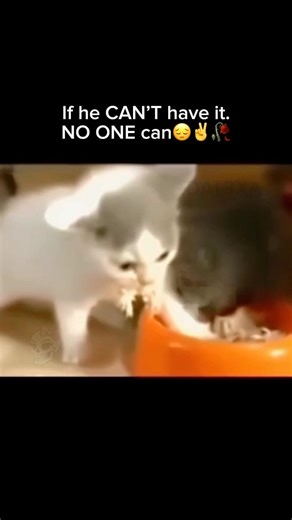 Greedy😡