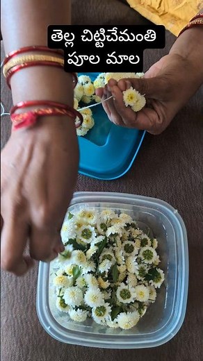 Beautiful Garland Made with White Button Mums