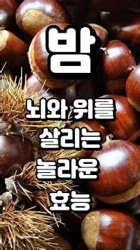혈관 청소기 생밤? 뇌와 위를 살리는 밤의 5가지 놀라운 효능과 부작용