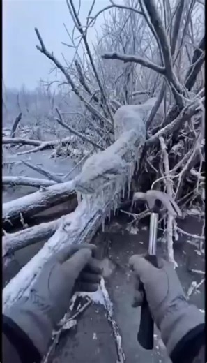 Si tu passes cette vidéo sans écouter la prière de Dieu, tu perds ta bénédiction. #Godisgood #videoviral #dieuestgrand #priere