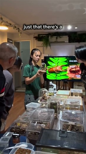 Entomology 101 (Singapore)