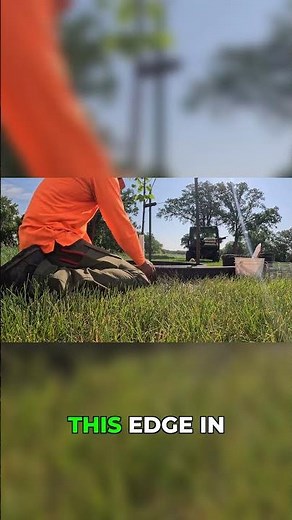 Cheap Trick to Keep Mulch Around Your New Trees