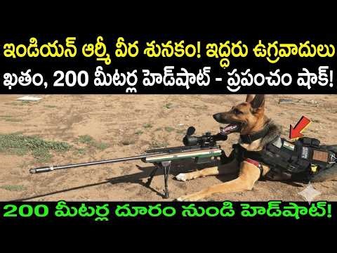 Unbelievable! Brave Indian Army Dog Takes Down 2 Terrorists, Shocks the World