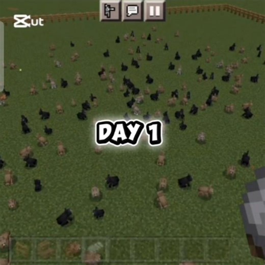 🔥Day 1 of spawning rabbit for each subscribers🐰#youtubeshorts #minecraft