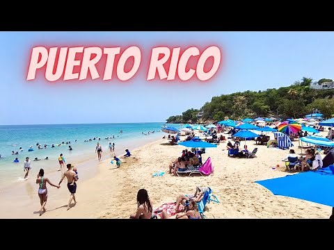 Hands Down the Best Beach in Puerto Rico! Crash Boat Beach