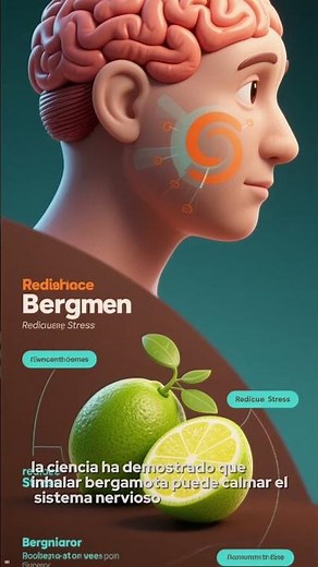 Aceite de Bergamota: Aromaterapia que Reduce el Insomnio por Estrés 🌙🍊